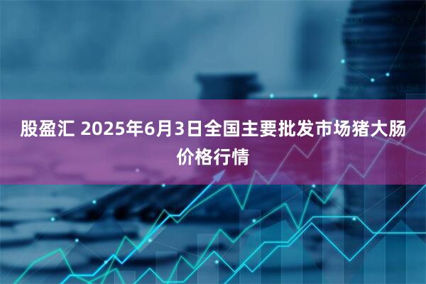 股盈汇 2025年6月3日全国主要批发市场猪大肠价格行情