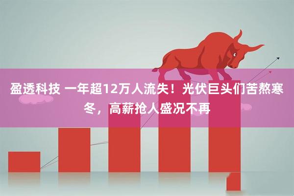 盈透科技 一年超12万人流失！光伏巨头们苦熬寒冬，高薪抢人盛况不再